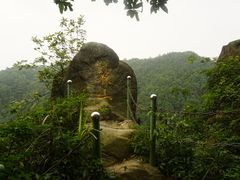 -南山植物园