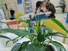 -贵州退休医师医院