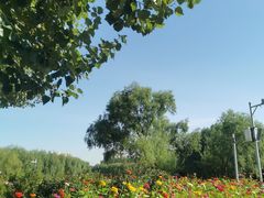 -长春公园(普阳街道)