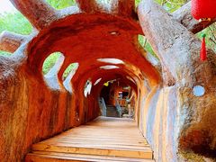 -天门沟九州驿站树上汤泉