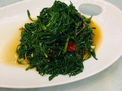枸杞叶-小叶手抓(解放东街店)