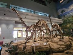 -自贡恐龙博物馆