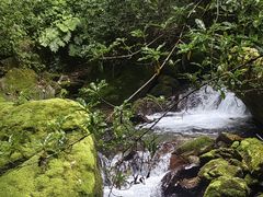 -神农架景区