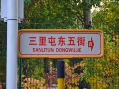 -三里屯东五街银杏大道