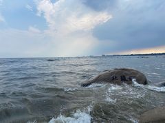 -老虎石海上公园