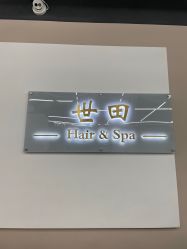 -世田造型