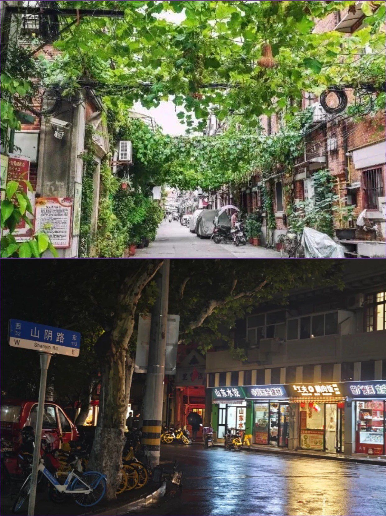 上海百年老街,山阴路上的旧时光与新味道93