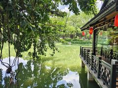 -侨美·唐荔园·40年地道粤菜