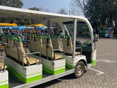 -上海海湾国家森林公园