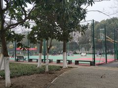 -后襄河公园