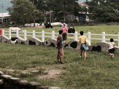 -瑞穗牧场