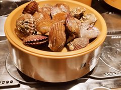 扇贝-龍歌自助小火锅(市南金茂湾店)