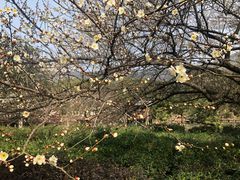 -宝岩生态观光园