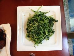 素炒鸡毛菜-19号私房菜(云南路店)
