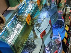 -蔚海之都·象山蒸汽海鲜(仙霞路店)
