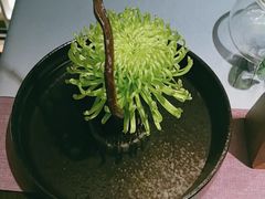 -大拙里·精致融合菜(沙湖桃源国际店)