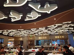 -阿五黄河大鲤鱼(海尚店)