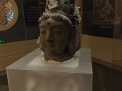 -呼和浩特博物馆