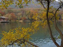 -紫霞湖公园