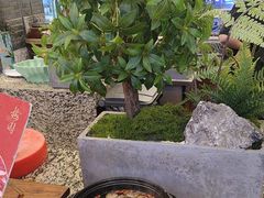 -梅园国际大酒店·自助餐厅(光明港店)