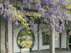 -杭州植物园