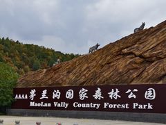 -茅兰沟国家森林公园