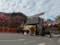 -栾川竹海野生动物园