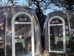 -哟吼艺术餐厅·亲子·生日宴