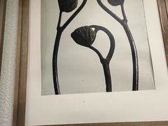-Wood Garden(合生汇店)