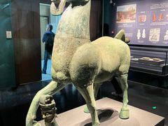 -广西壮族自治区博物馆