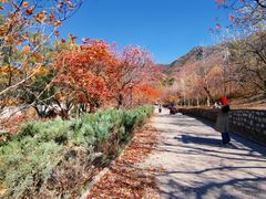 -北京十三陵国家森林公园蟒山景区