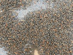 -三江森林温泉度假区