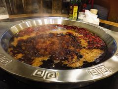 红汤锅底-大龙火锅(老店)