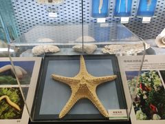 -浙江自然博物院(杭州馆)