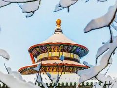 -故宫博物院(故宫)