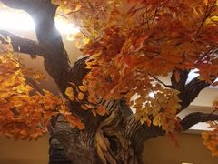 -君邦火锅(新疆大厦店)