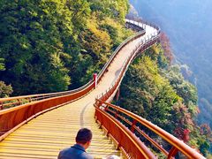 -少华山国家森林公园