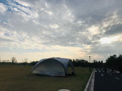 -春花秋色城市公园