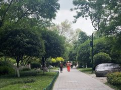 -桂湖森林公园