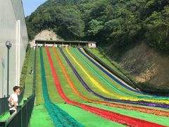 -梦幻奥陶纪景区