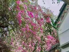 -深圳国际园林花卉博览园