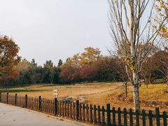 -丰台花园