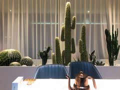 -悦海·家宴·冰花皮皮虾大锅贴(宝龙店)