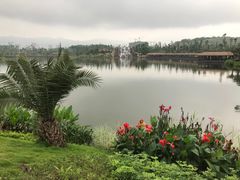 -枫香湖儿童公园