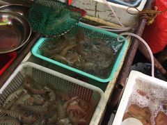 -外伶仃岛海鲜市场