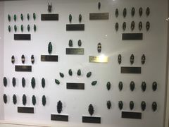 -上海昆虫博物馆