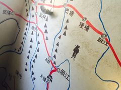 -慢丽江·云南野生菌土鸡锅(西山店)