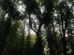 -徐家汇源景区-衡山公园