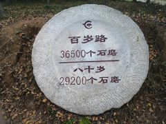 -千年银杏谷文化旅游区