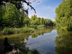 景点-新江湾城公园
